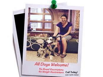 Pioneer endicott dog porch